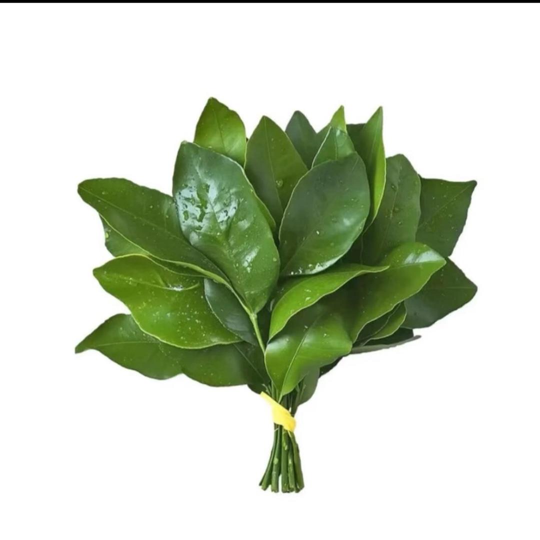 温和的温开水～