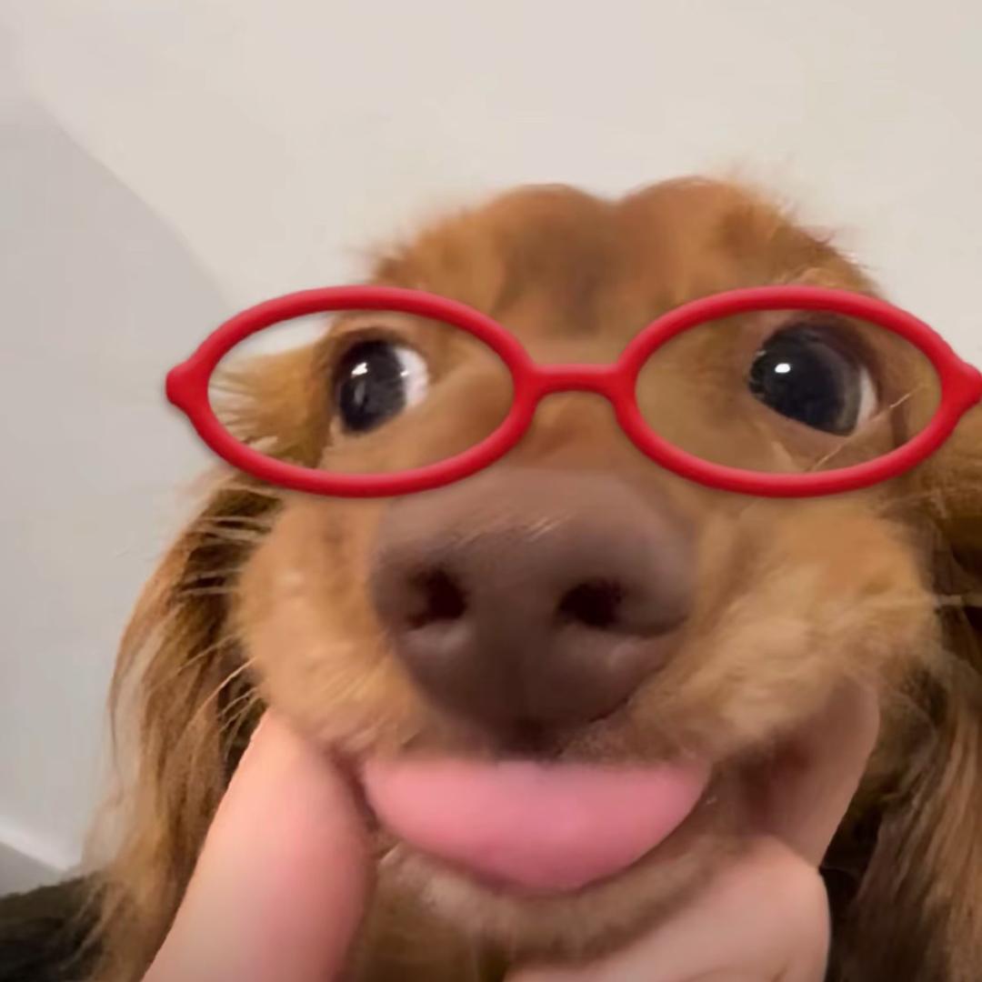小鱼筷子