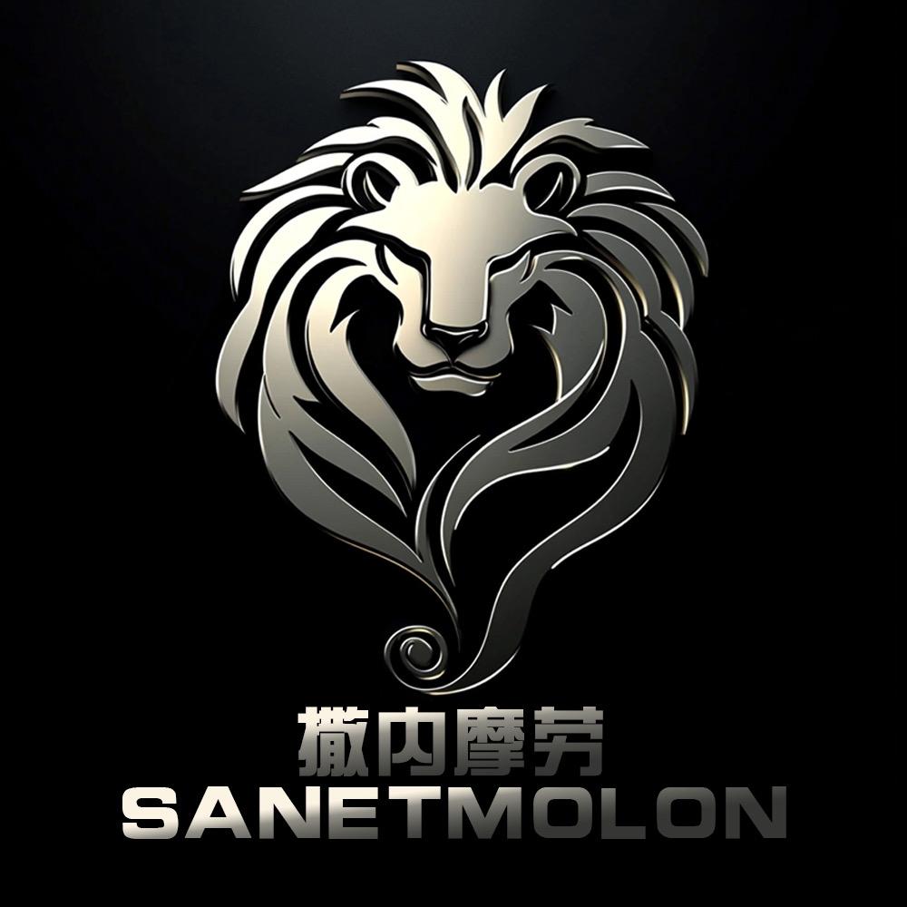 撒内摩劳SANETMOLON男装企业店