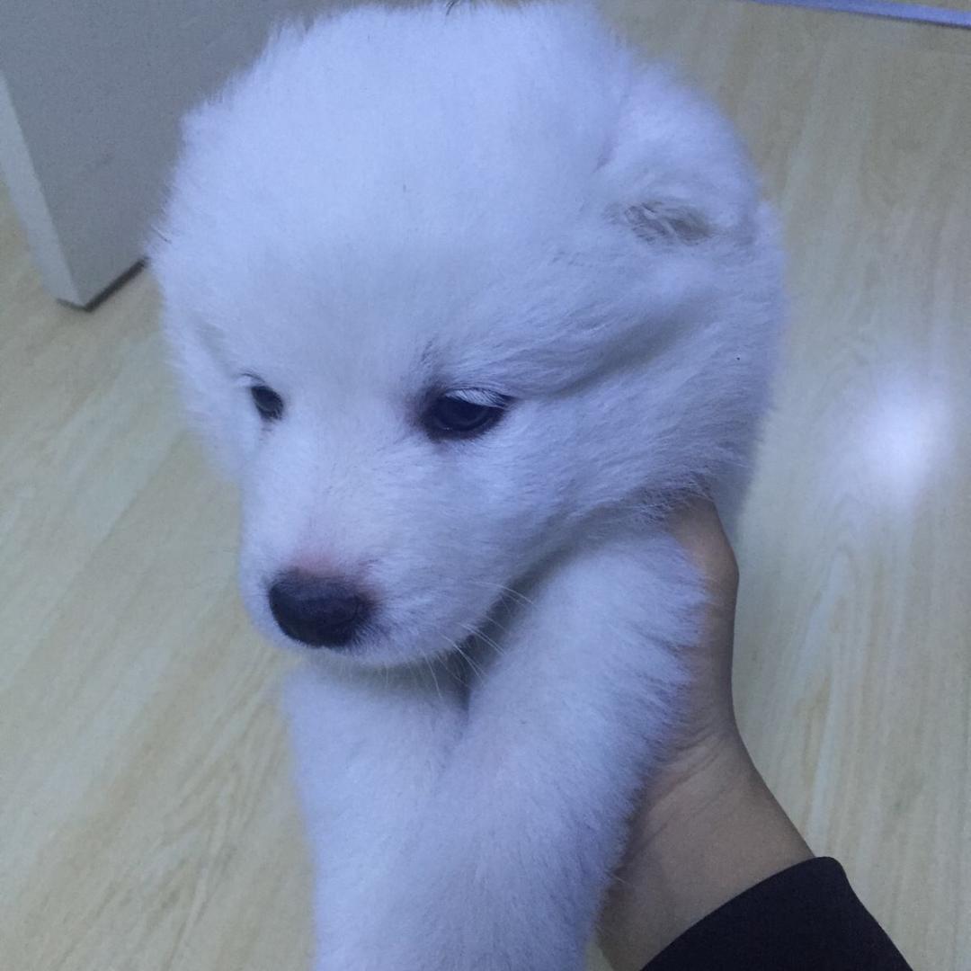 Mr！李先生