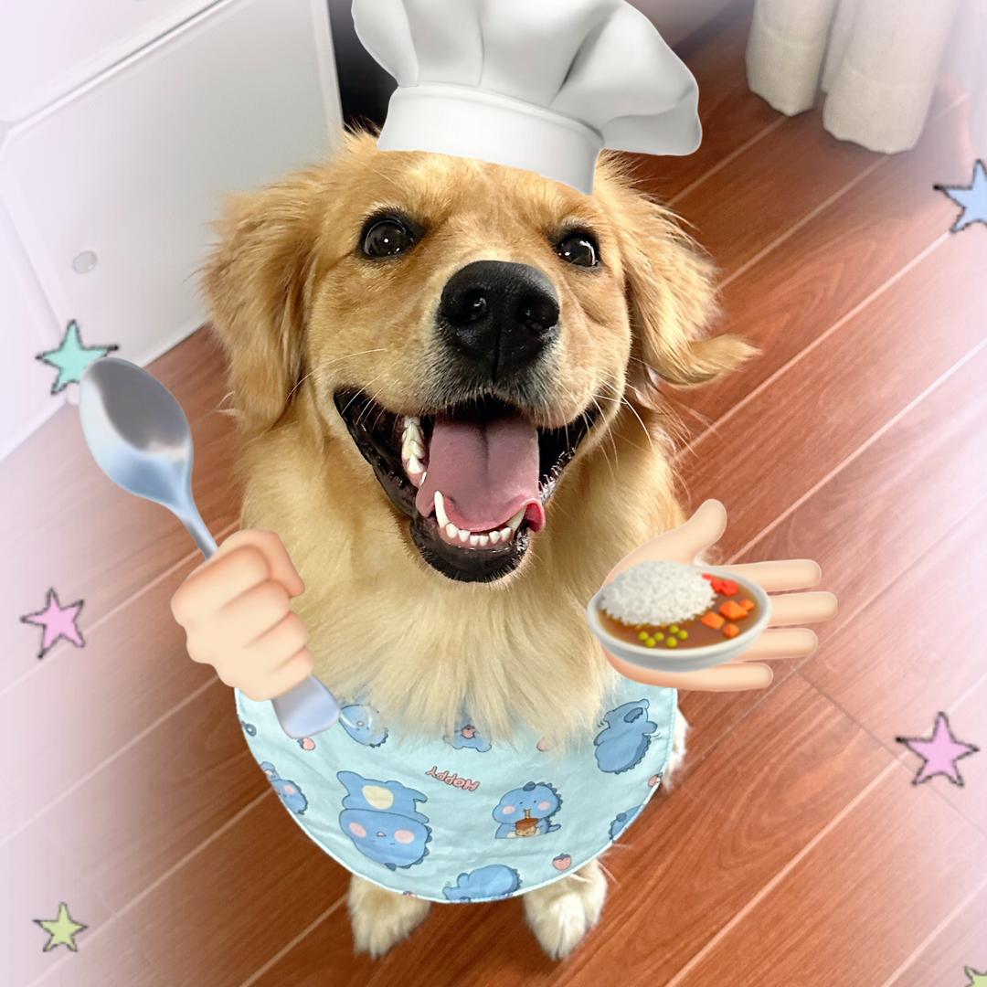 丢丢猪