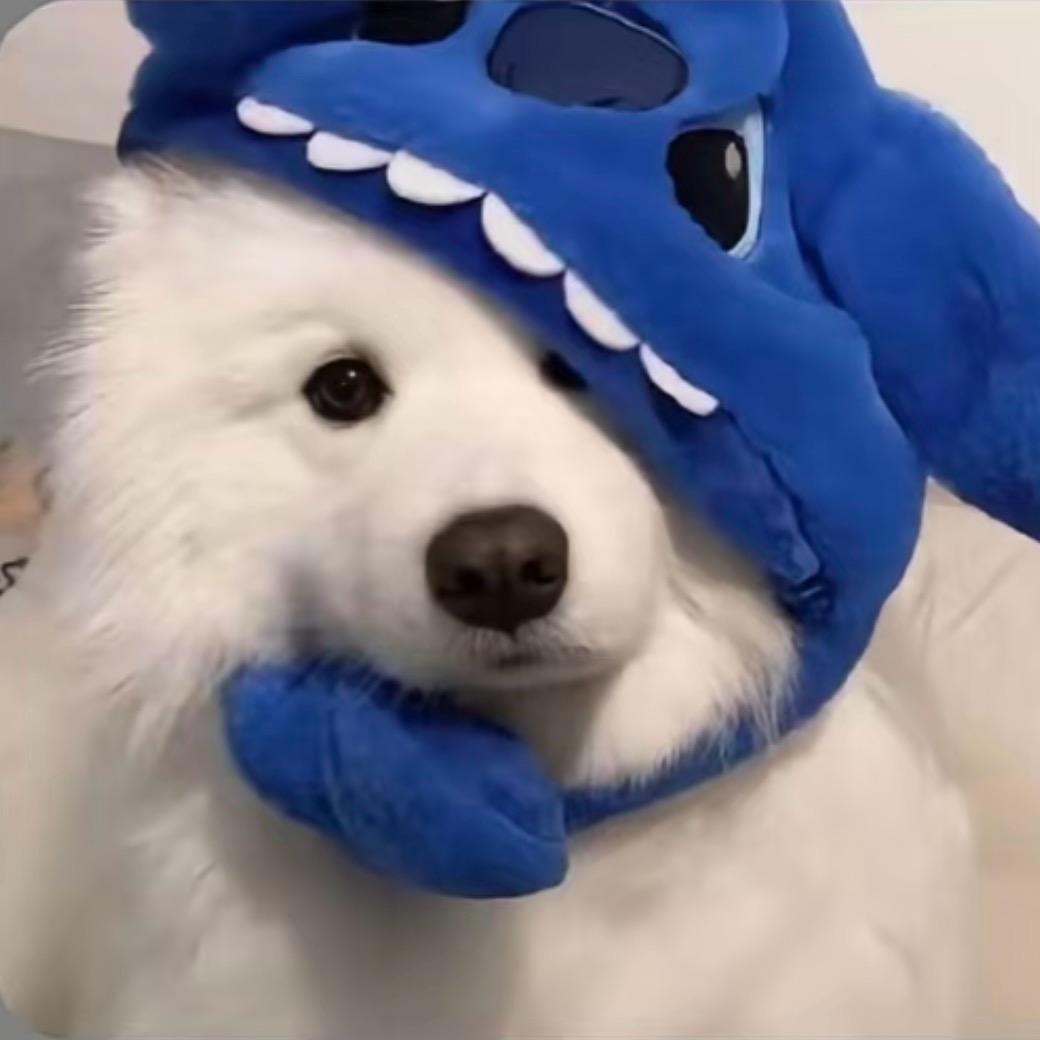 眠花糖