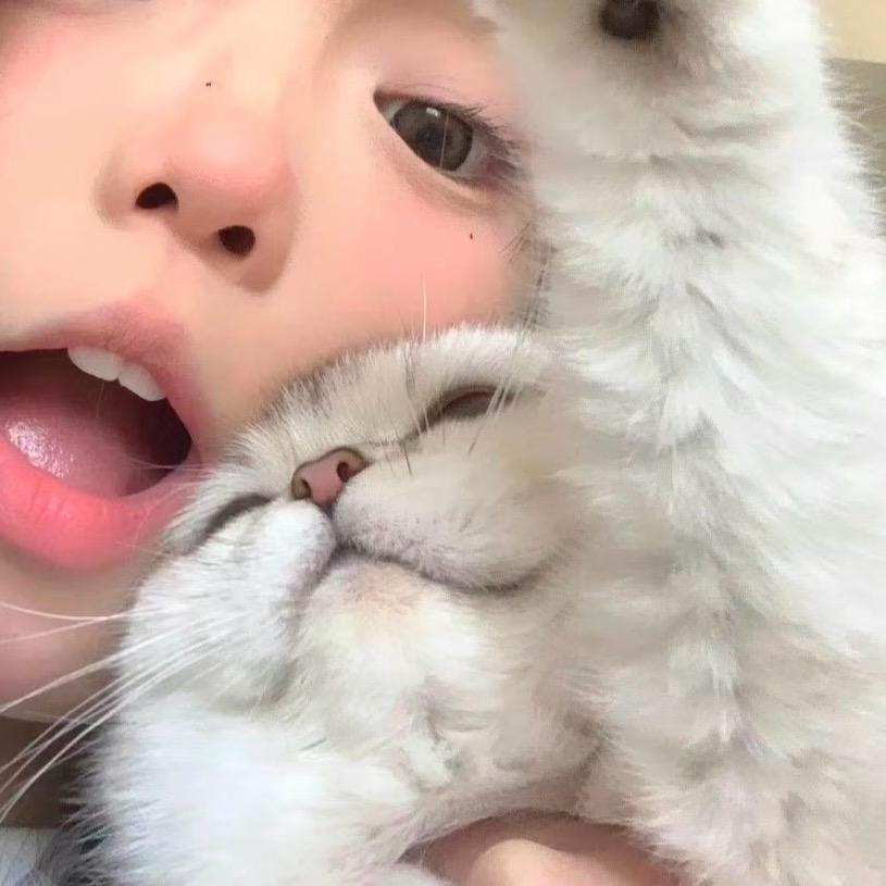 蛋饼.