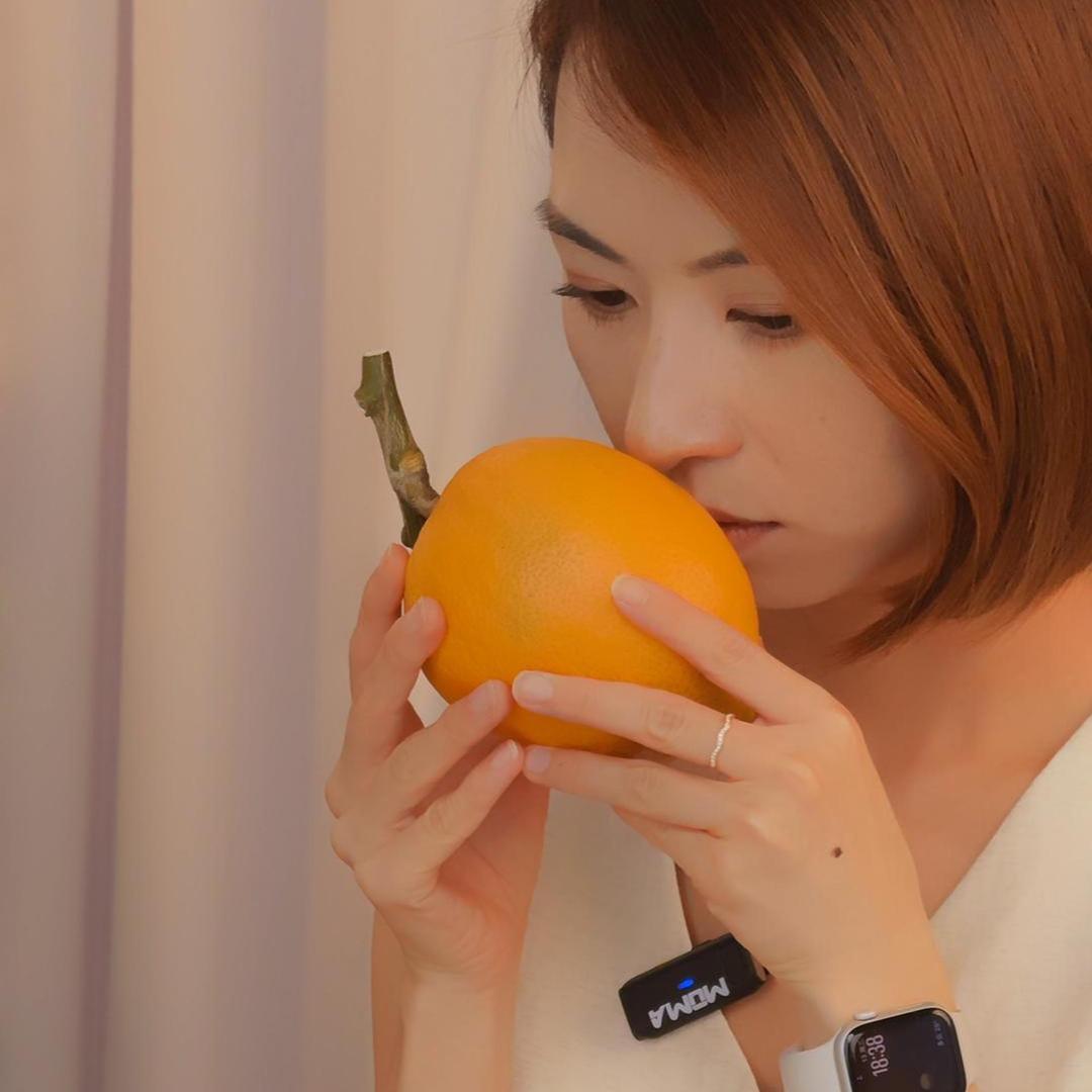 香橼雅集