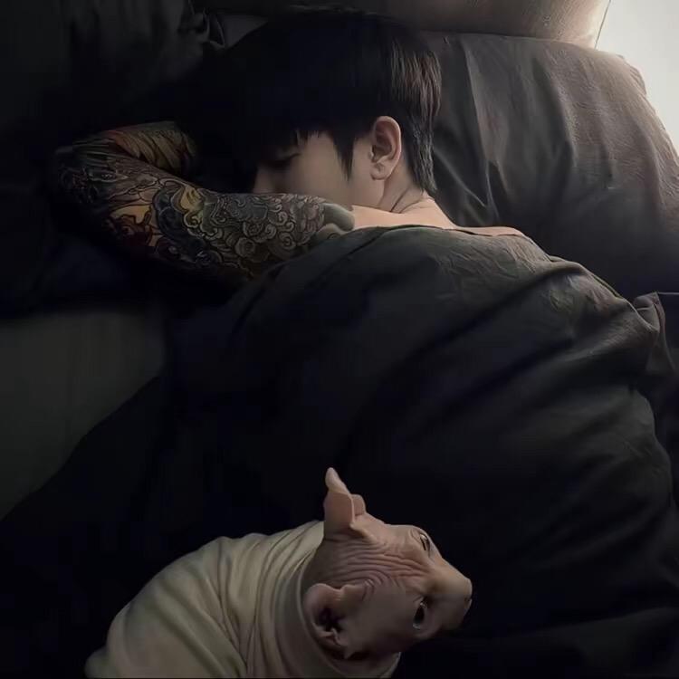ㅤㅤ  ￰ㅤ  ㅤㅤ