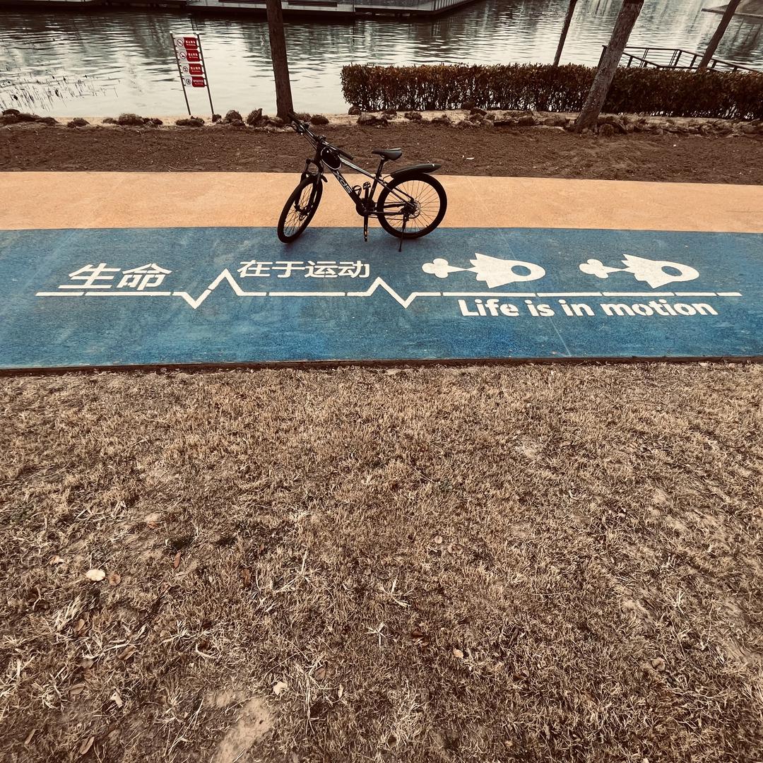 老家巢湖