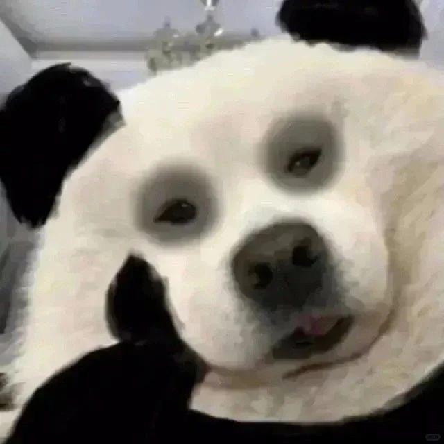 Yuehappy