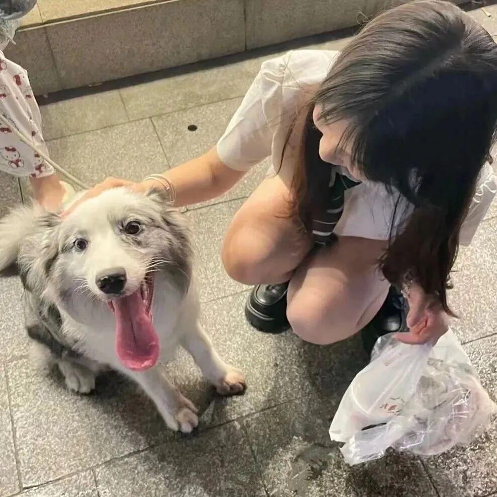 虾鱼蛋