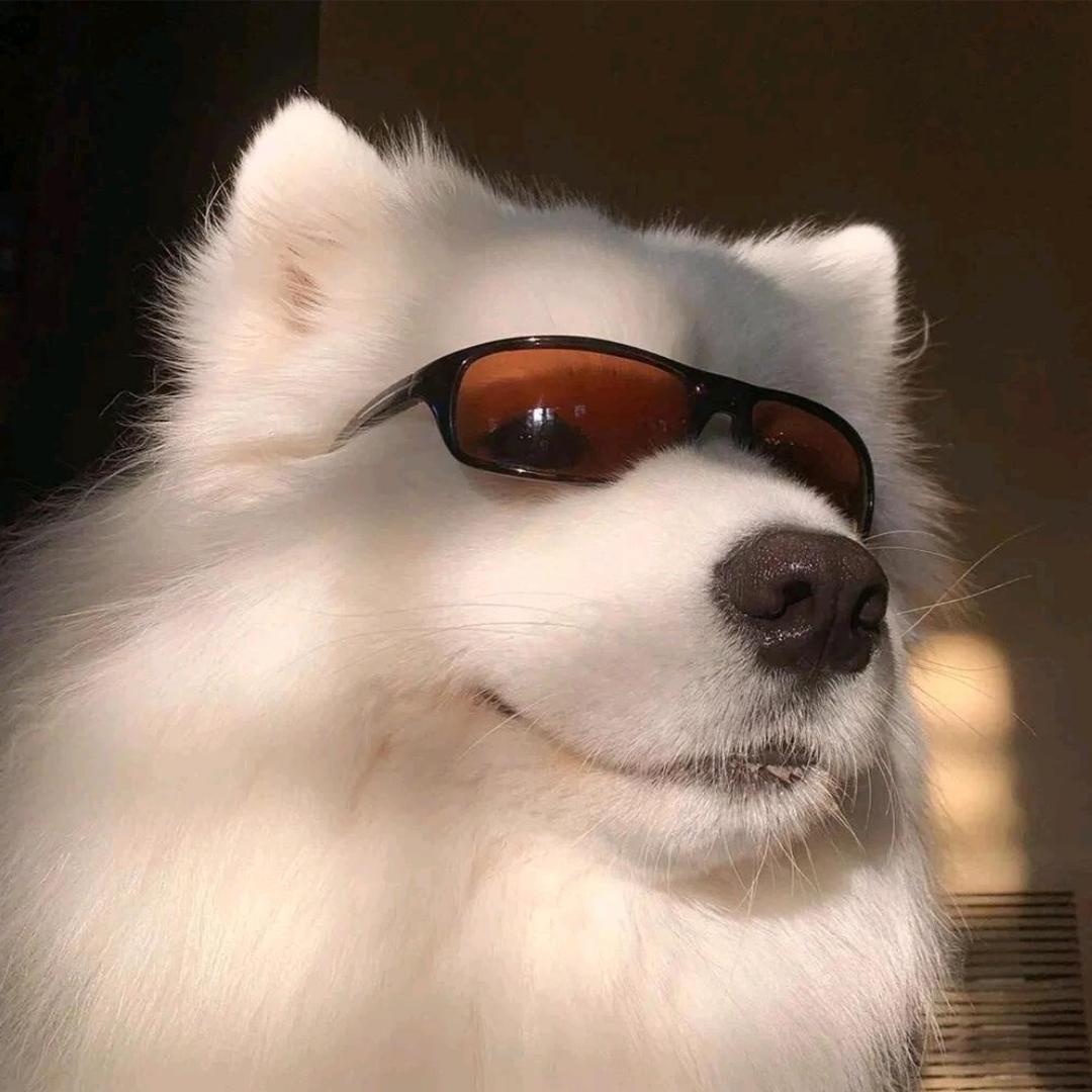 ᥫᩣ，