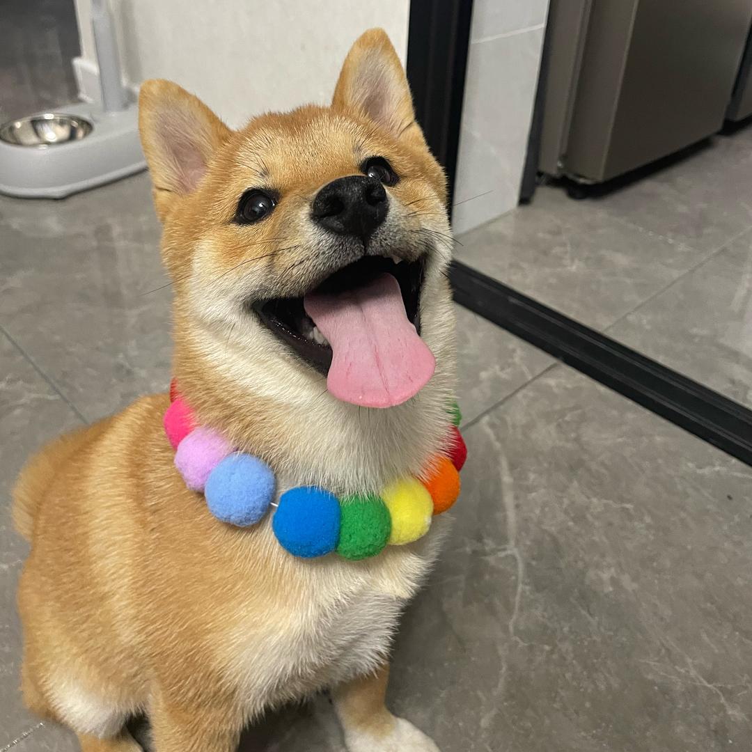 来财吖