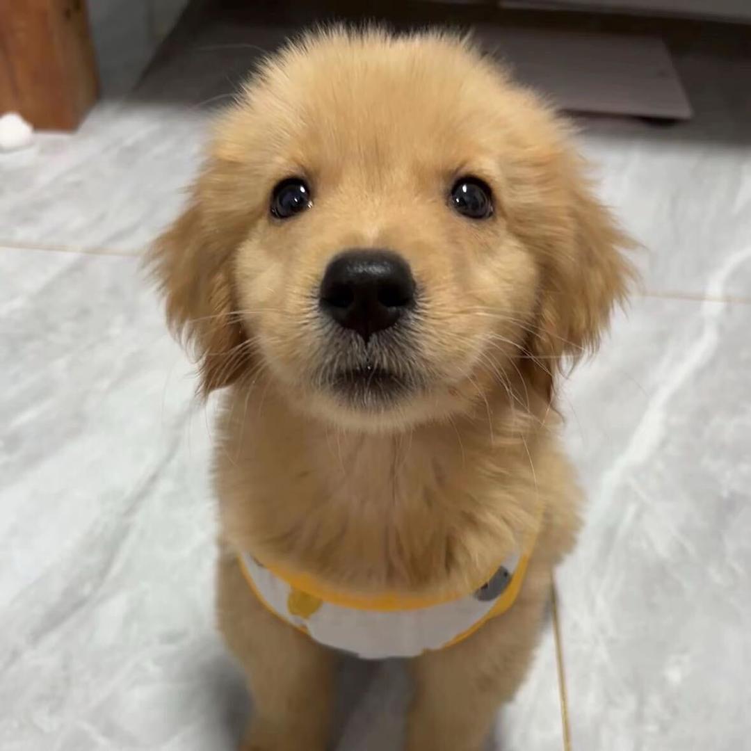 Q不QQ糖