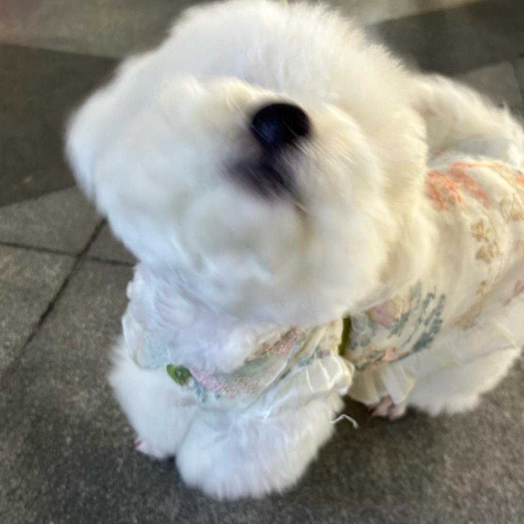 呃呃