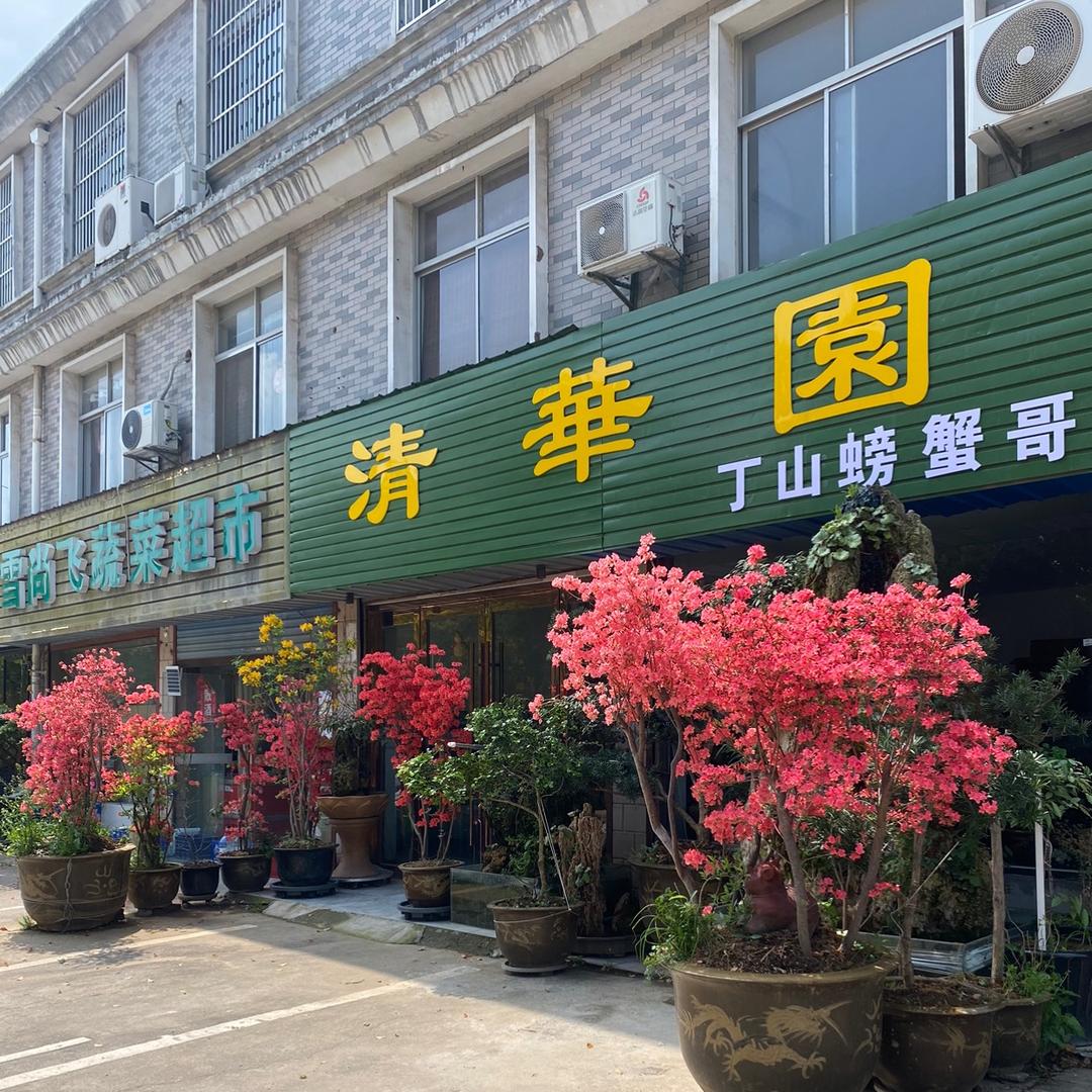 小卞毛蟹