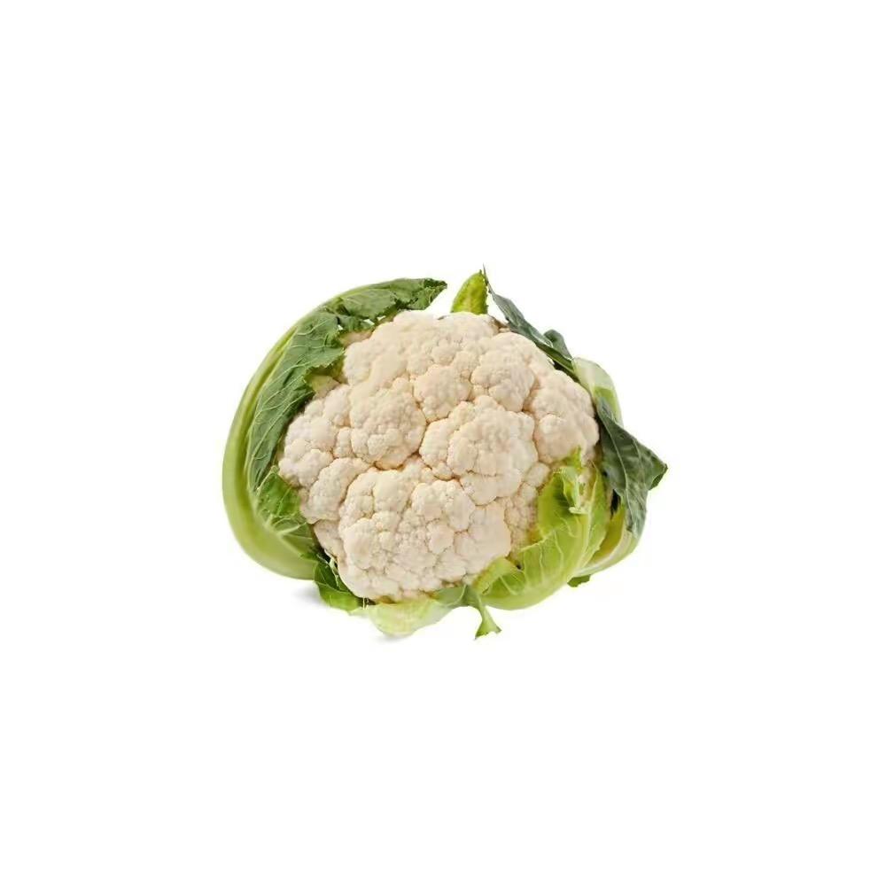 爱吃好吃的吐司