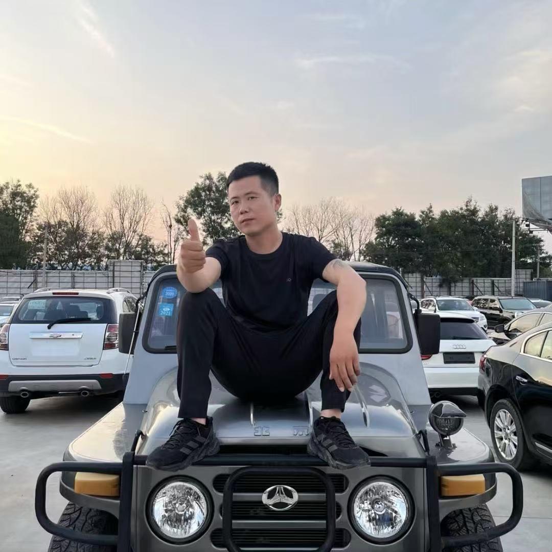 北京大龙二手车(批发)