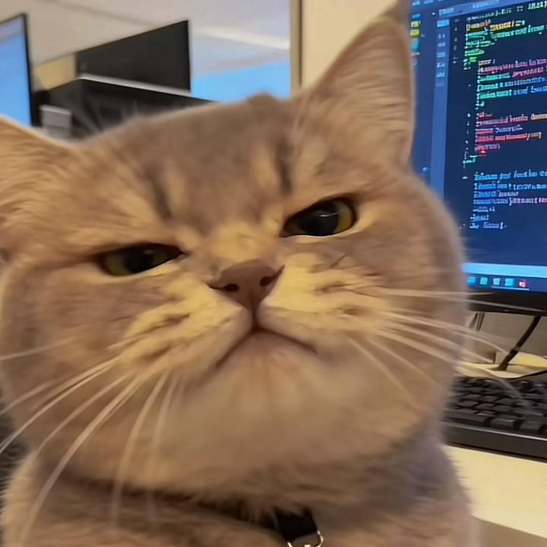 啥都行