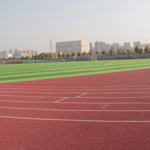 塑胶跑道回收厂家