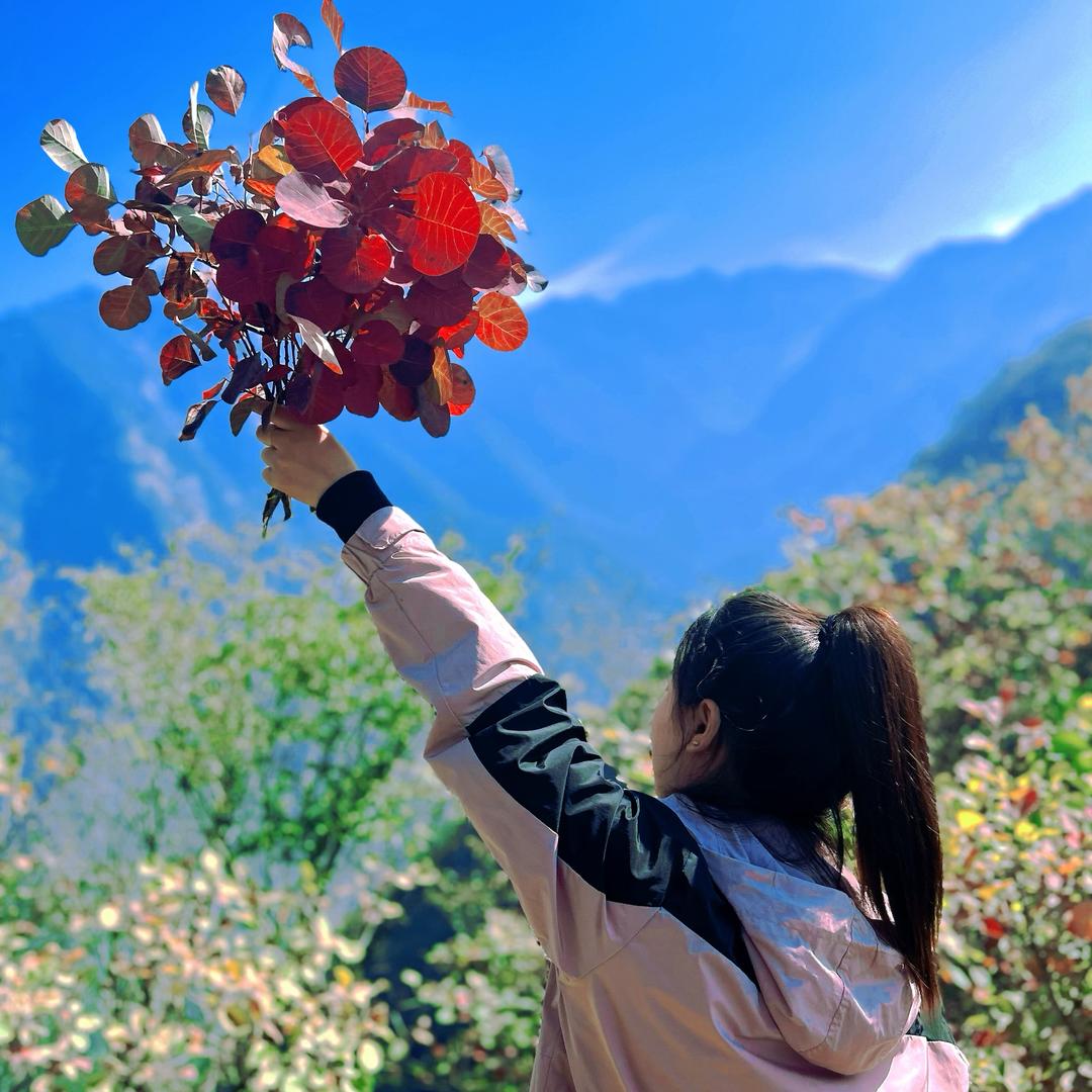 乐彤🍭🍭🍭💞💞