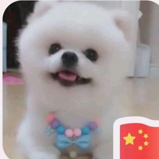 小猪🐷佩奇