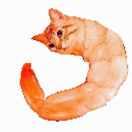 下雨走吧