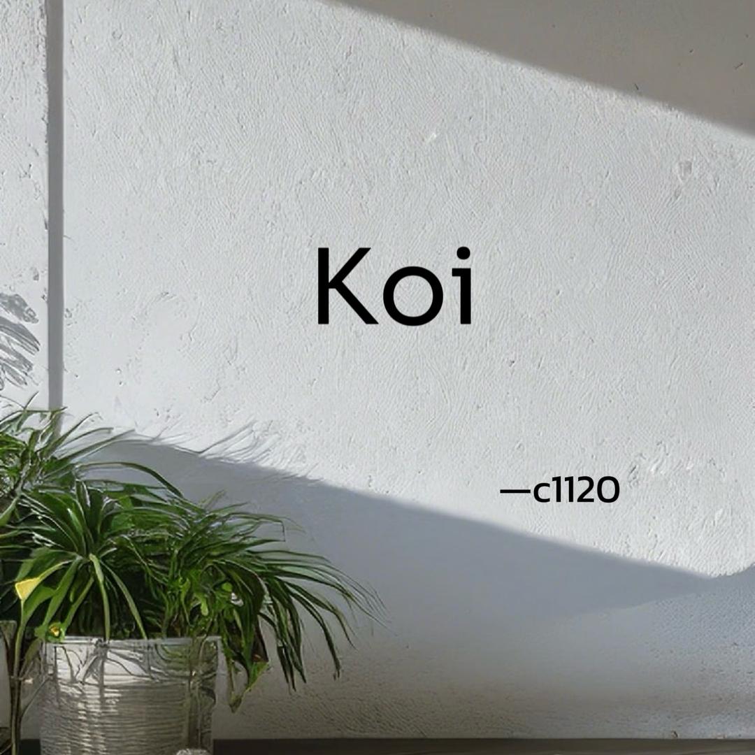 银基Koi服饰