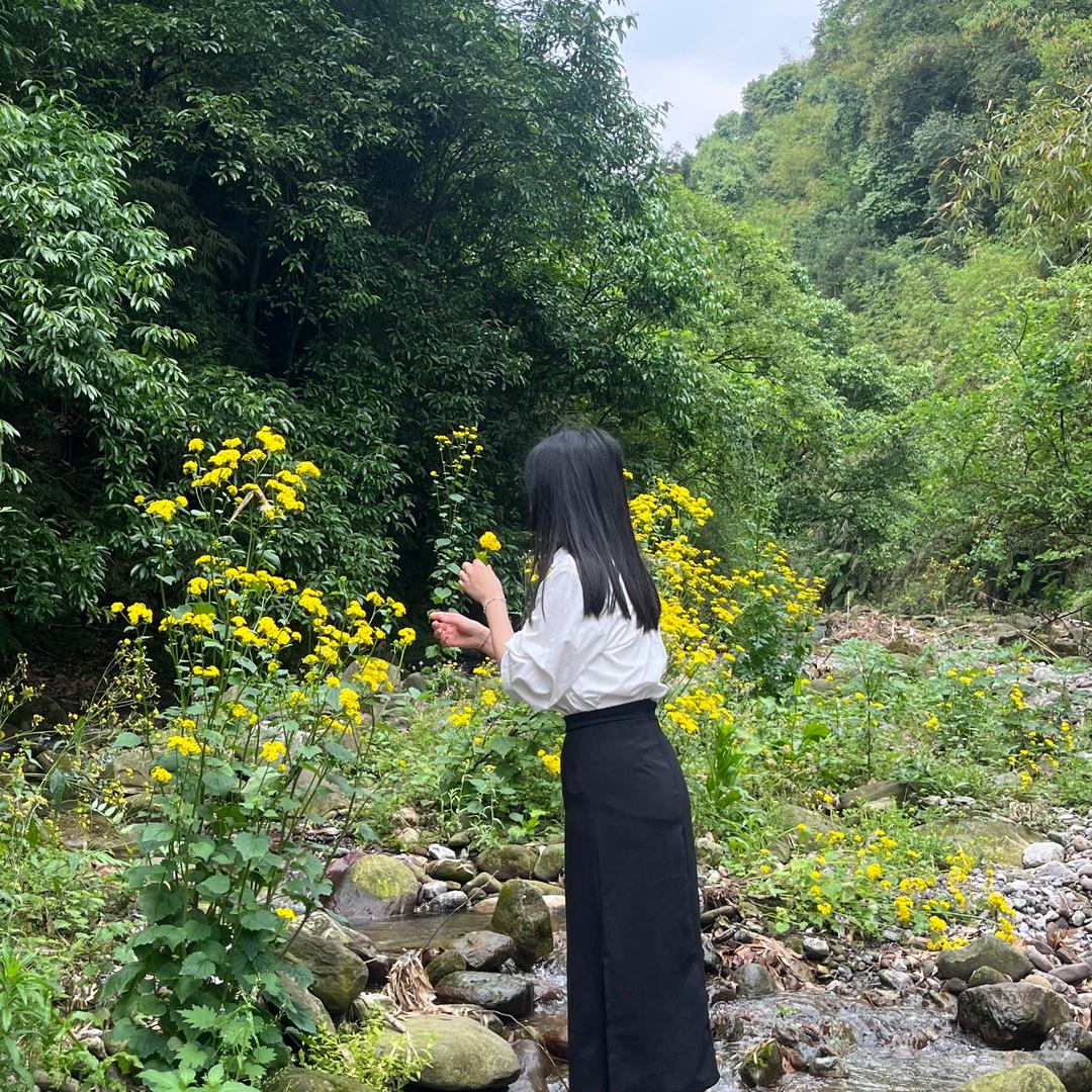 雾散.