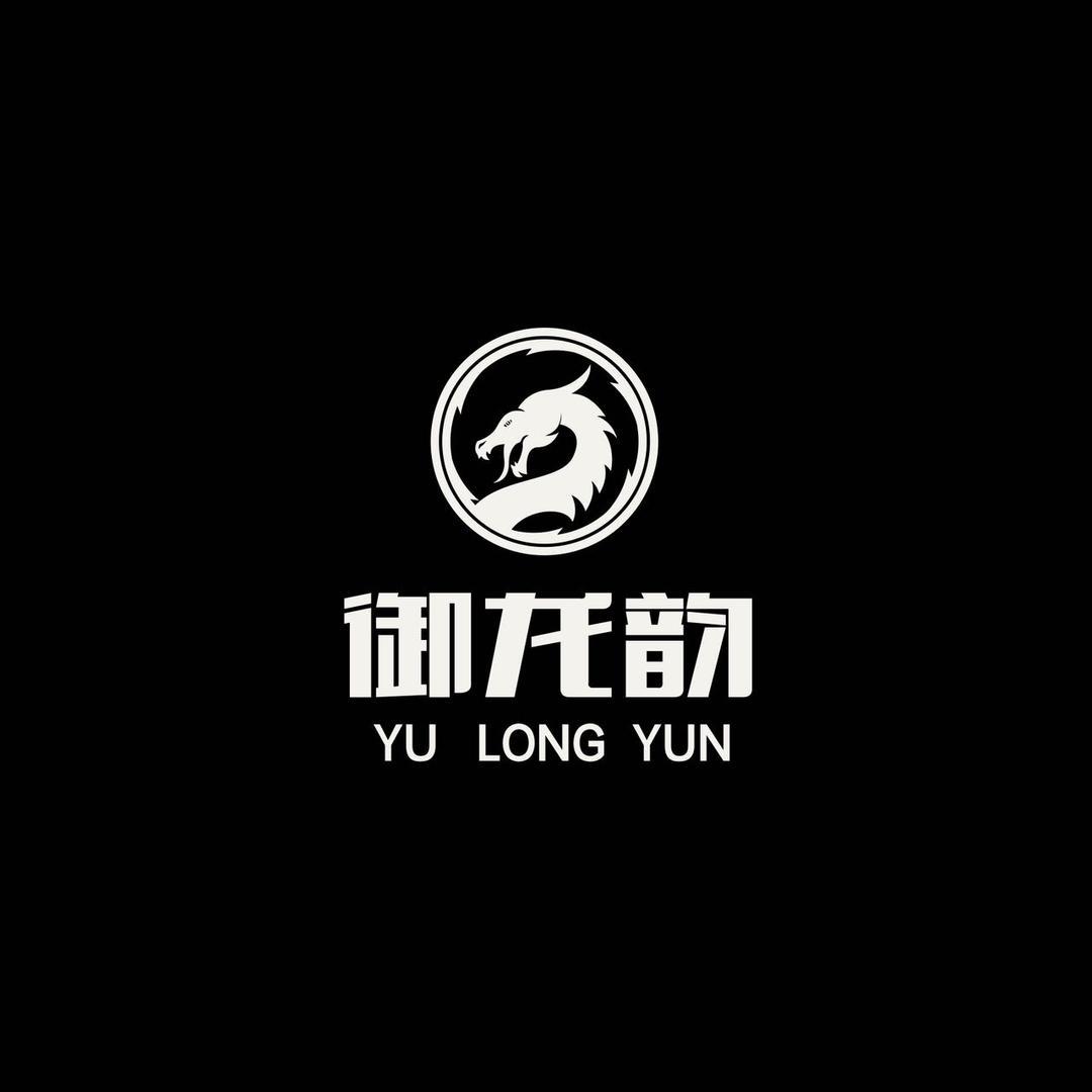 御龙®陈宗忠