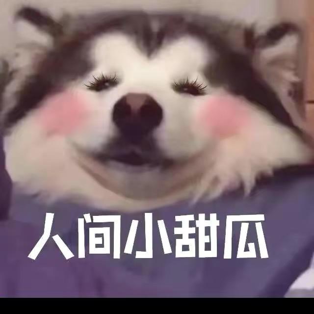 不想恋爱了