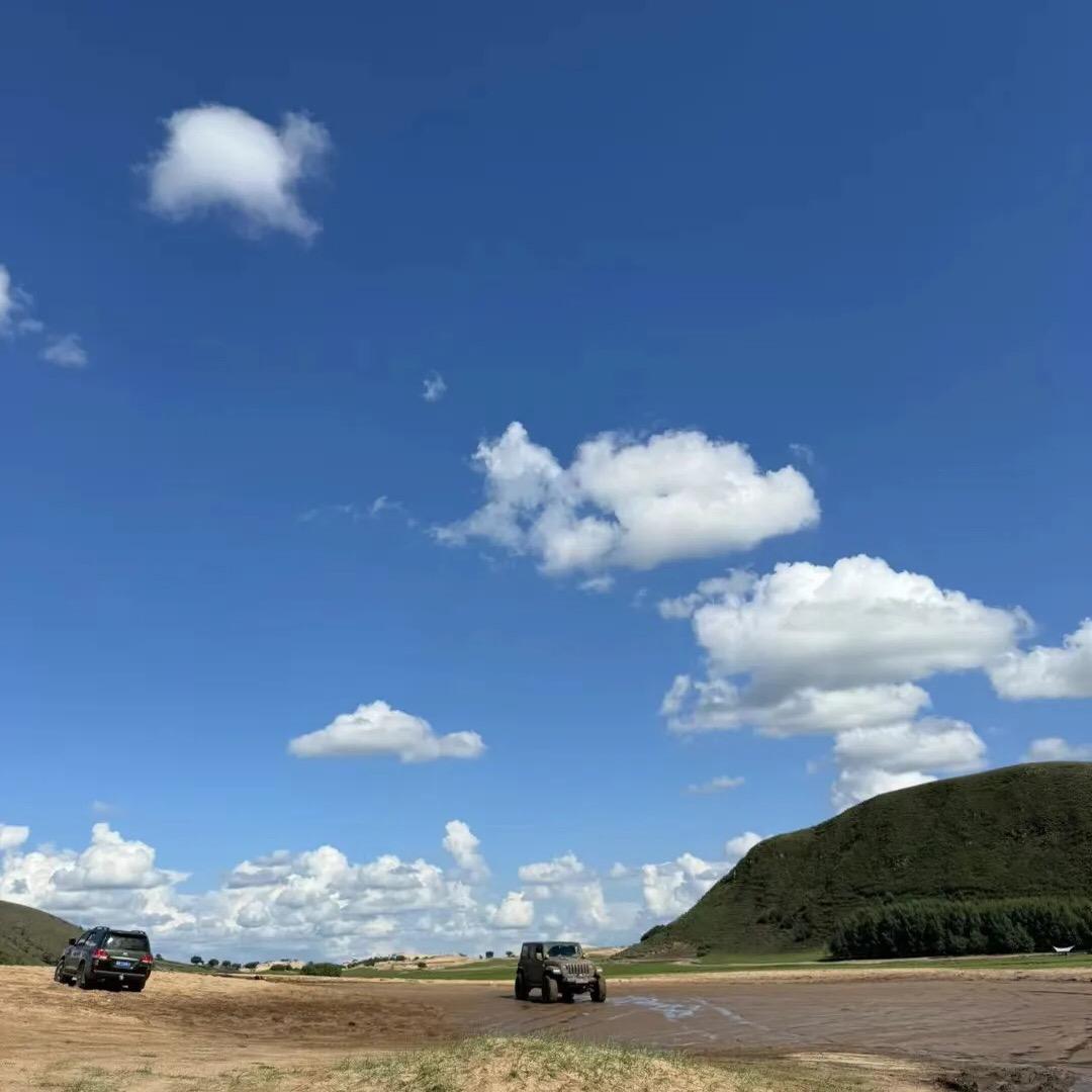 姹紫嫣红