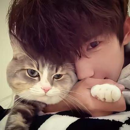 指尖山海-豹子头（调号推塔版）