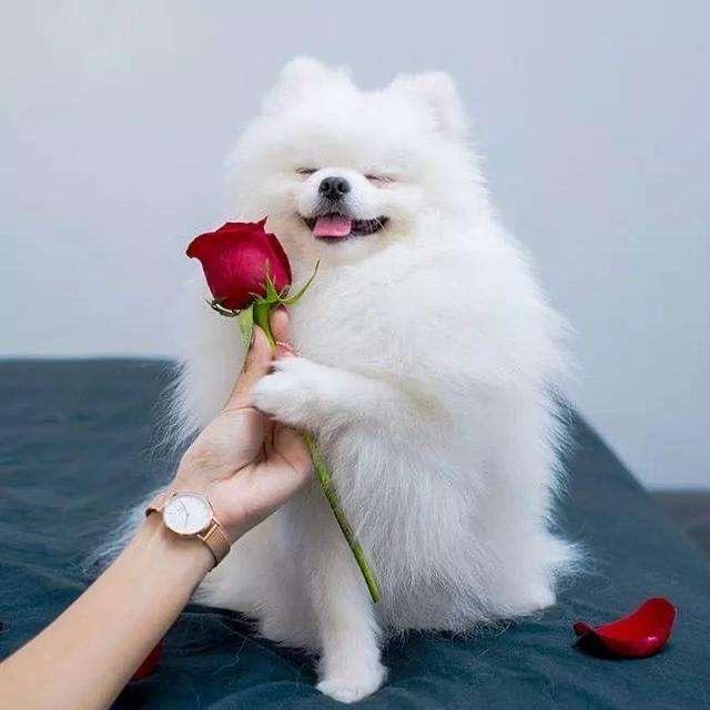啷个