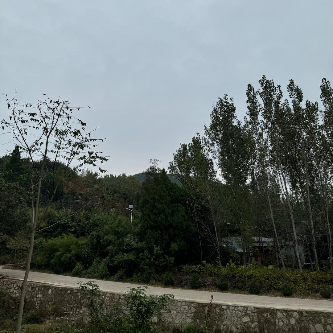 有缘人_