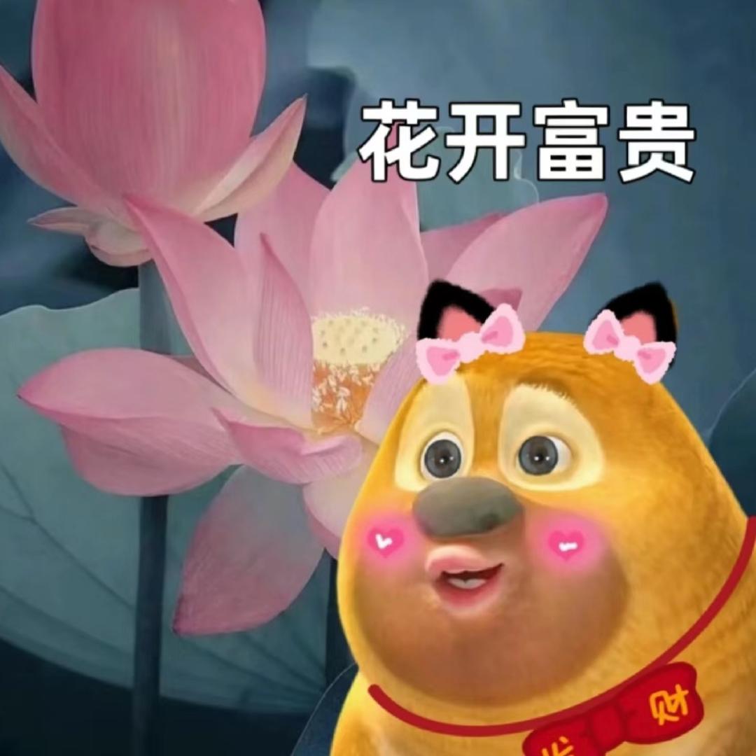 熊小宝
