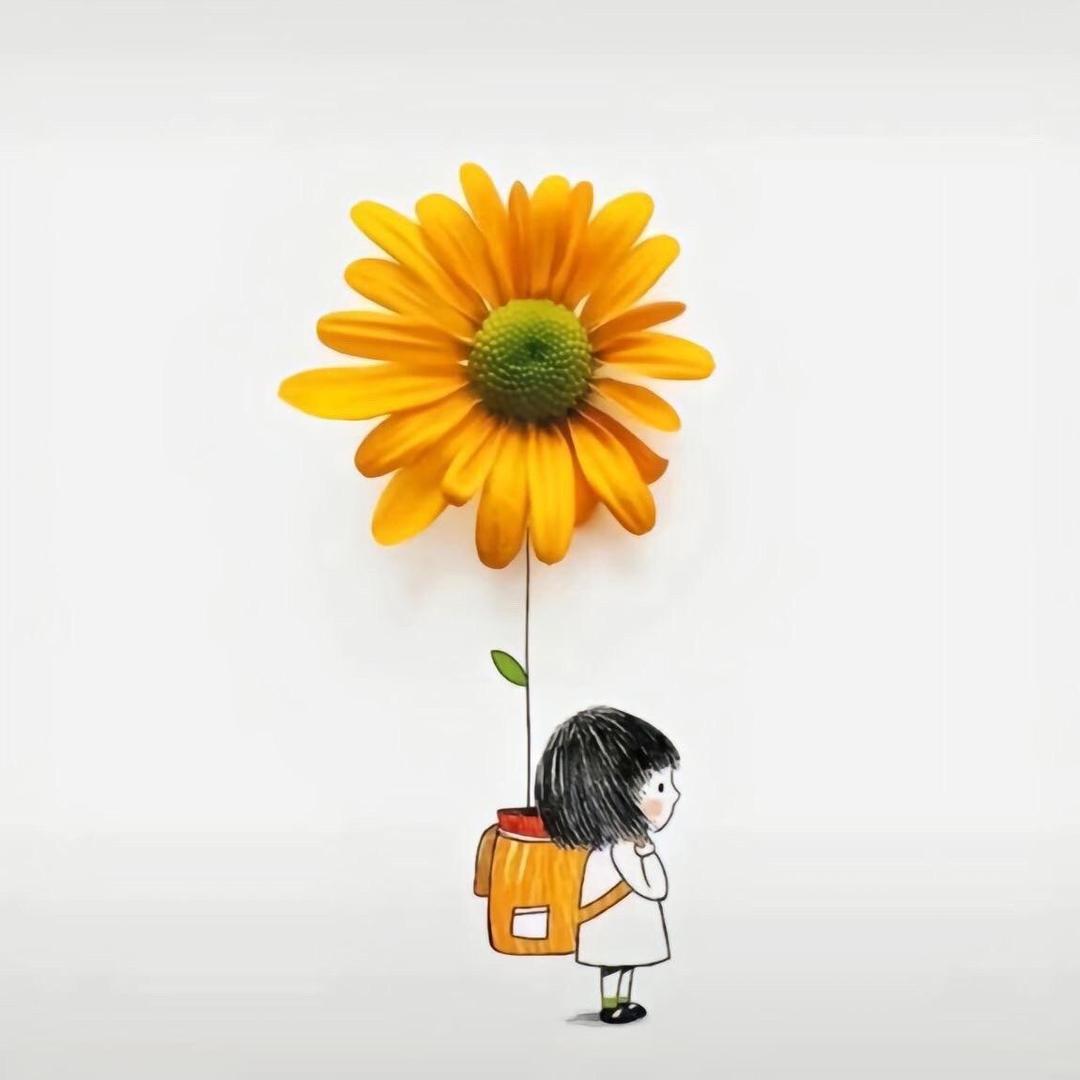 懂莴