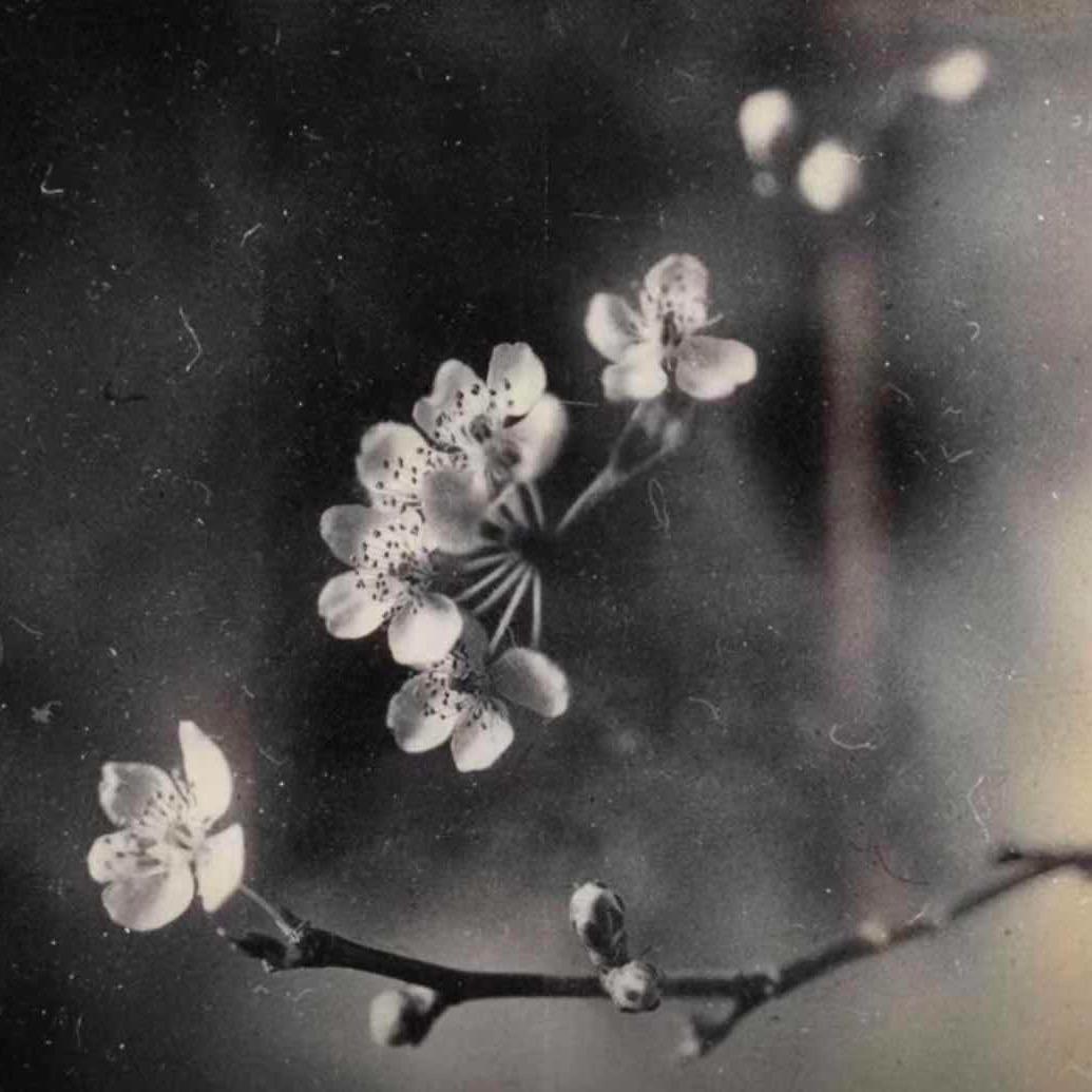 ￴ ￴￴ ￴￴￴ ︎￴ ￴ ￴7