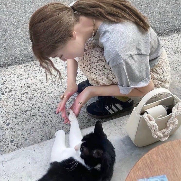 饱饱