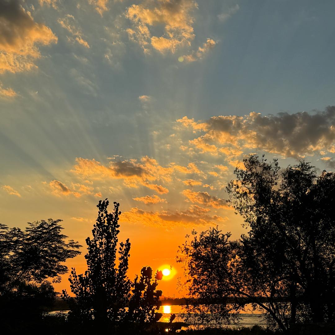 我只愿你安好，便好