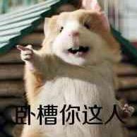 圈圈小宝