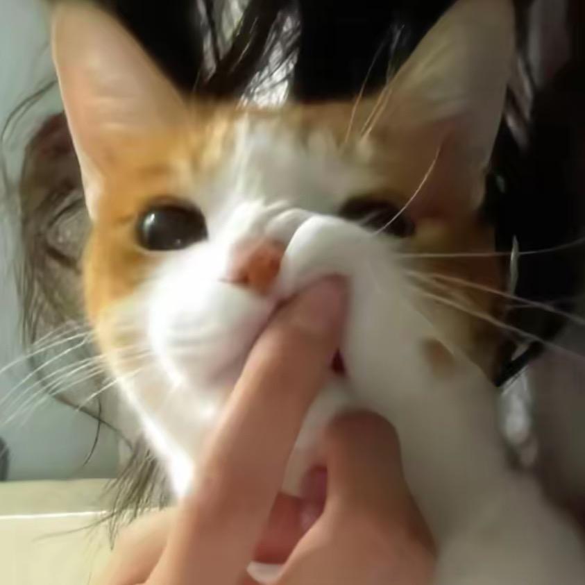 冷冰冰