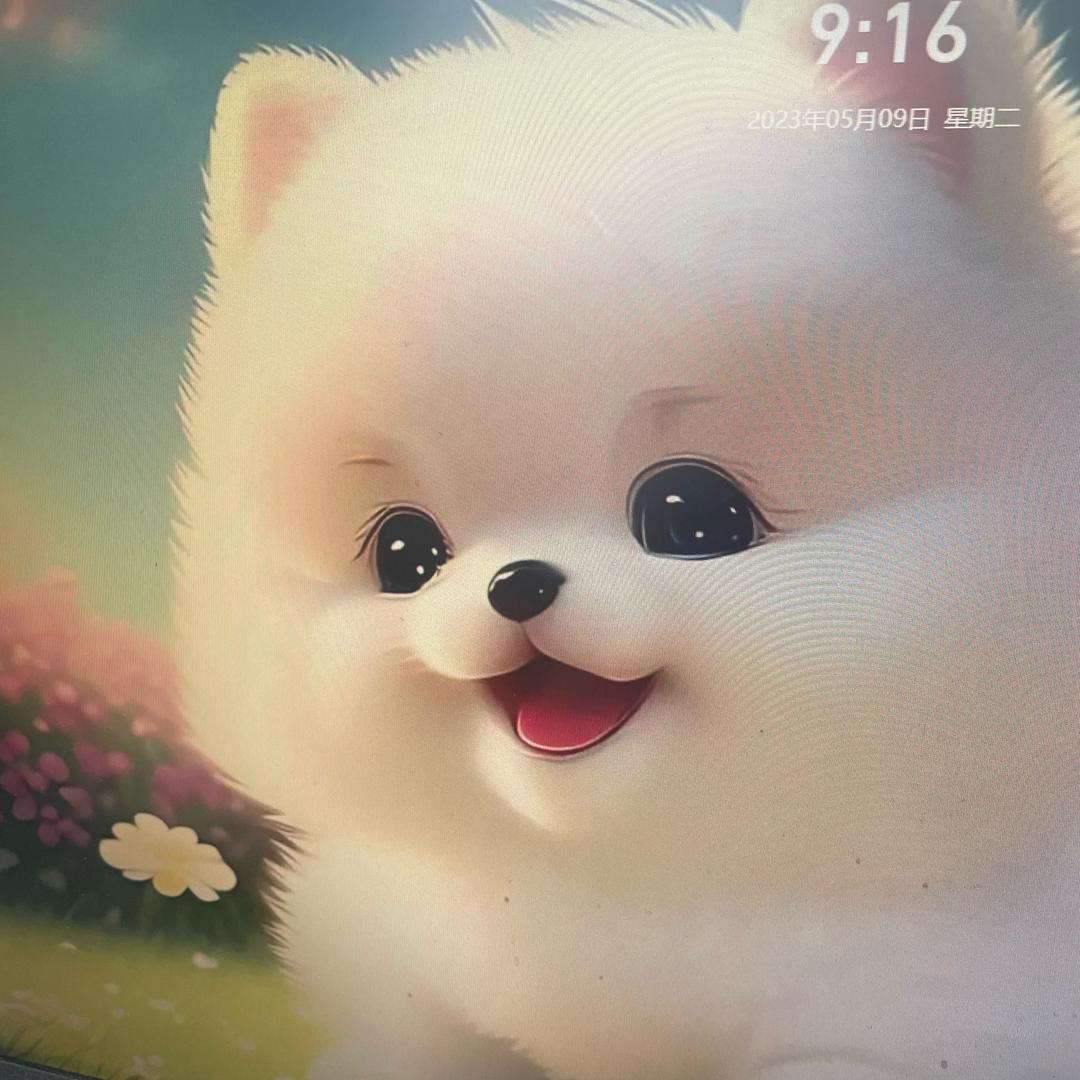侠=哥