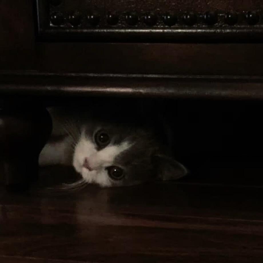 ᴋ