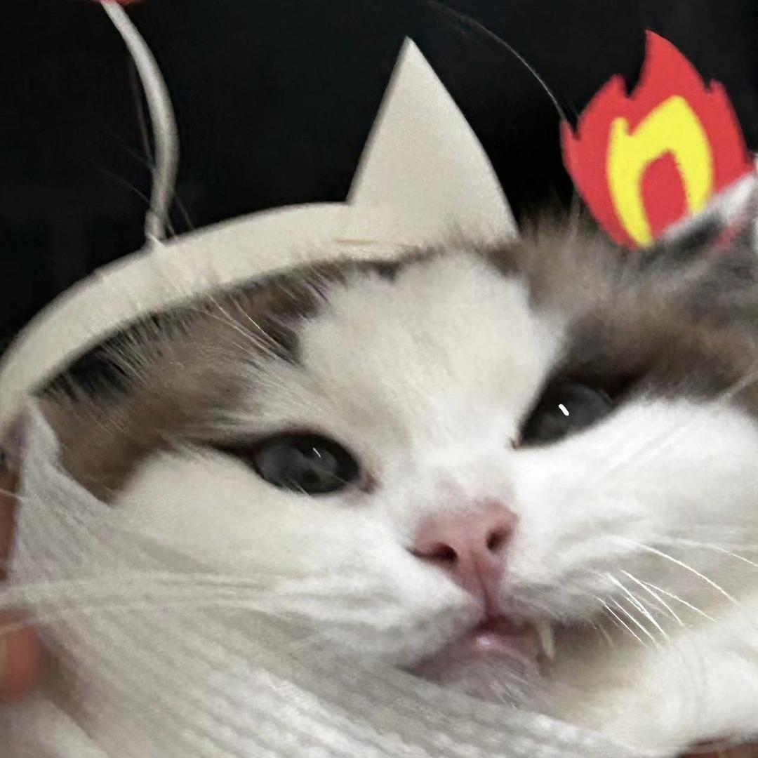 猫跟你都想了解