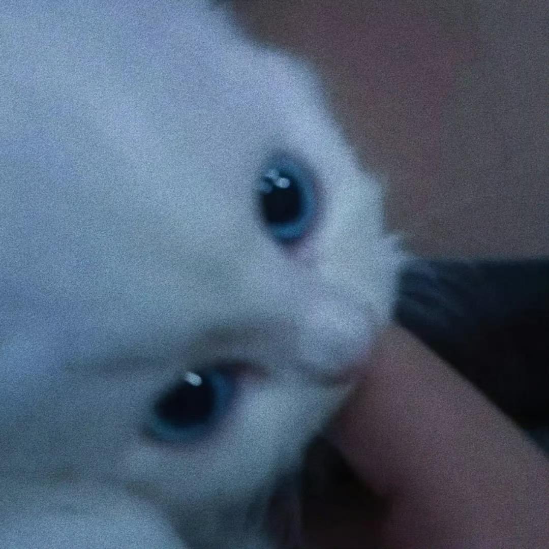 嗅嗅