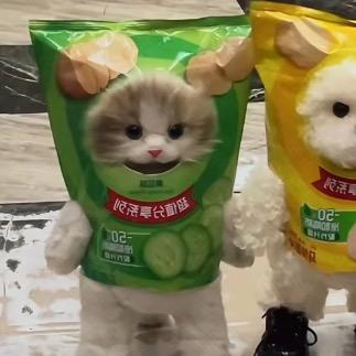 我喜欢睡觉💤