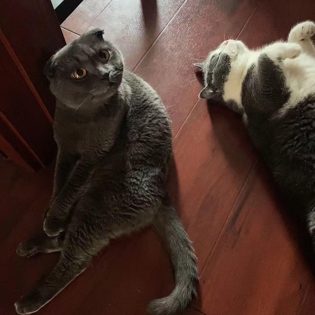 怀秋怀秋
