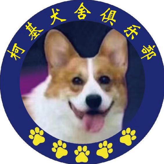 永不褪色 🎉🎉（宠物代理）➡️新乡站