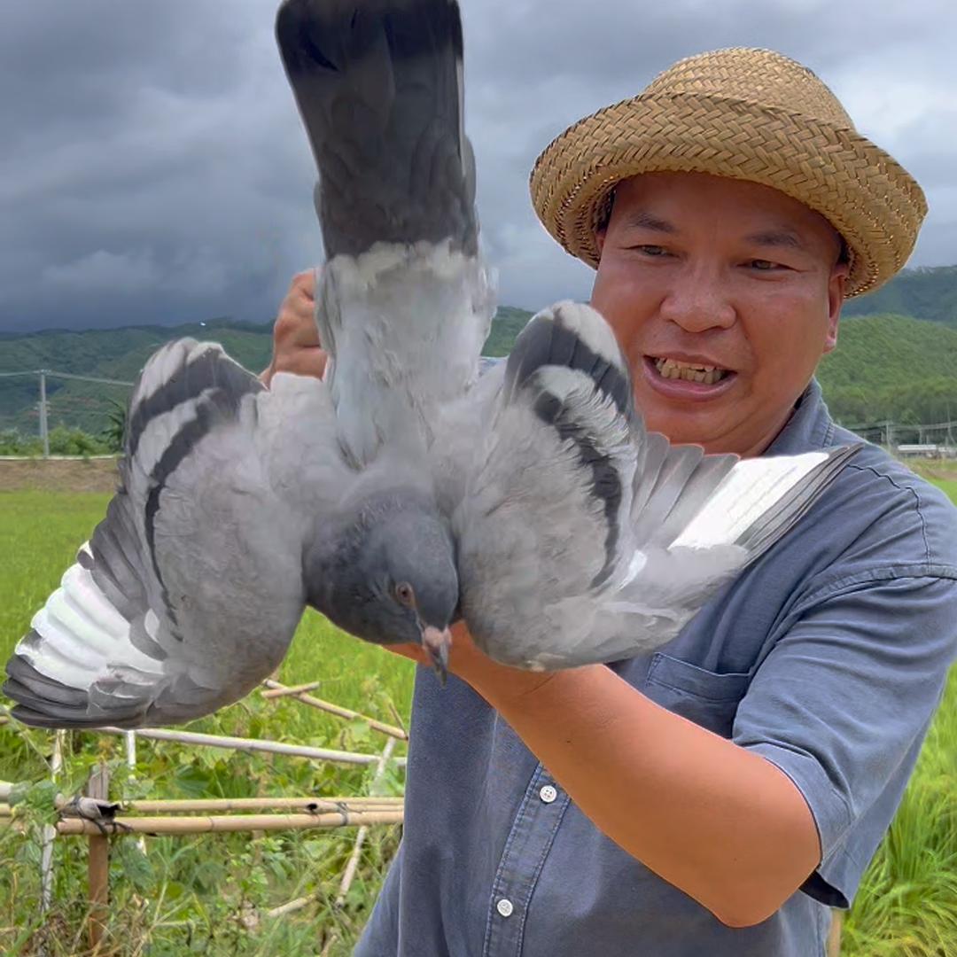 阿文分享回村生活