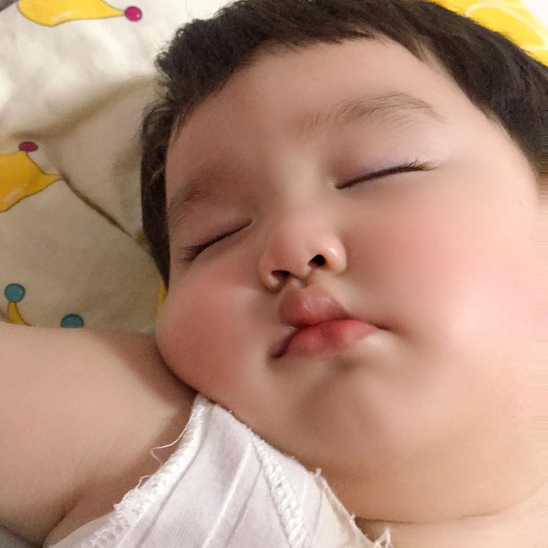 大贝乐