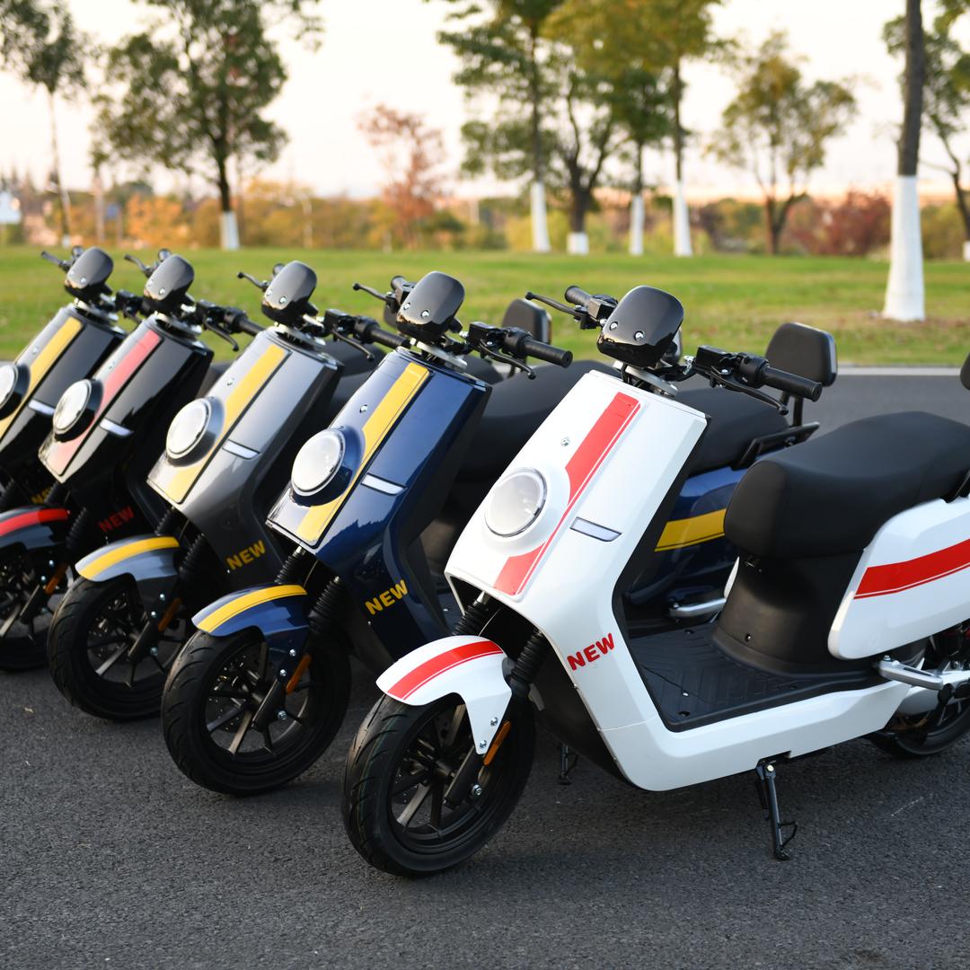 飞野泽启专卖店