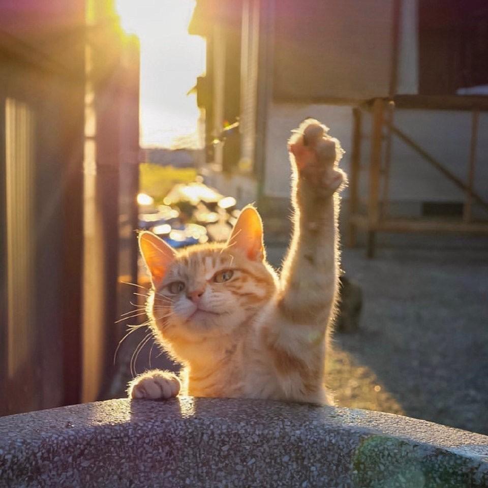 干一行恨一行！
